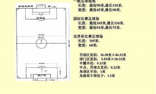 足球比赛场地规则_足球比赛场地规则简述