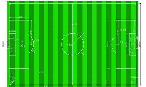 足球场地标准尺寸图片_足球场地标准尺寸图片图解_1