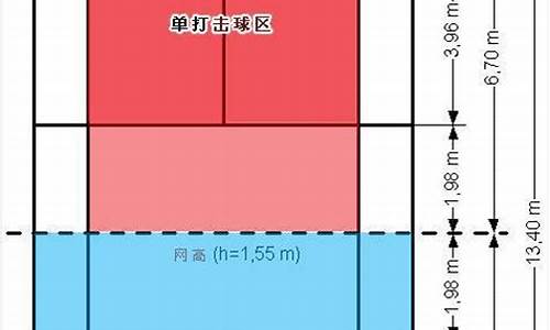 羽毛球单打线尺寸图_羽毛球单打线尺寸图解