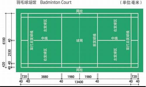 羽毛球单打场地标准尺寸_羽毛球单打场地标准尺寸大小