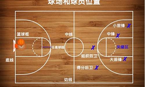 nba球员位置查询_nba球员位置图