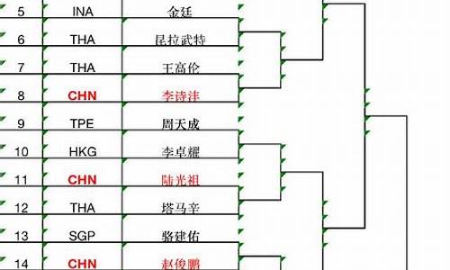 羽毛球比赛结果查询_羽毛球比赛结果查询