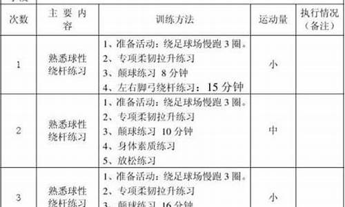 高中足球比赛训练计划_高中足球比赛训练计划表